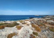 Stavros Kreta, Stavros: Grundstücke direkt am Meer mit Blick auf den Sonnenuntergang zu verkaufen Grundstück kaufen